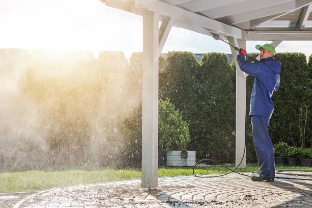 Best Driveway Pressure Washing  in Mshall, AR